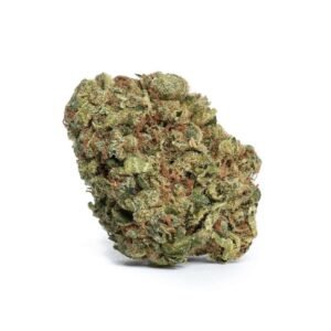 Dutch Cheese Strain