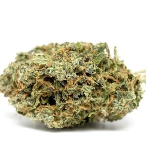 Chocolope