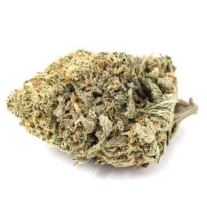 Gorilla Bomb (AA)