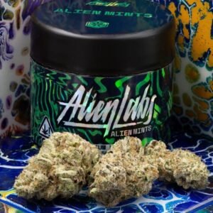 Alien Labs