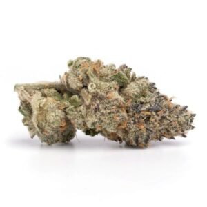Blueberry Cheesecake Strain