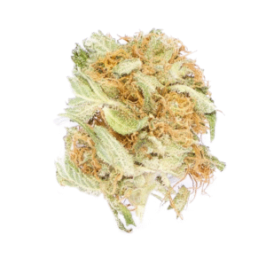 Blueberry Tangie