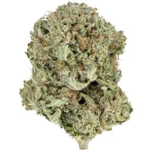 Northern Lights