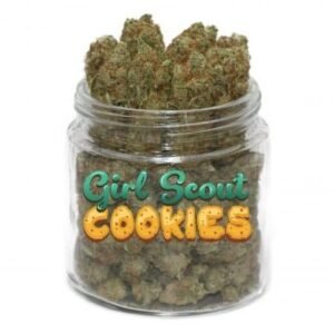 Girl Scout Cookies (GSC)