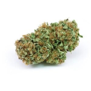 Harlequin Strain