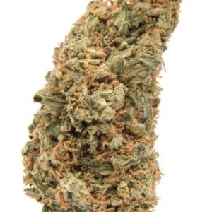 Jack Diesel