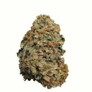 Nuken
