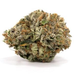 Purple Kush