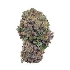Purple Urkle