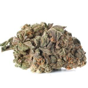 Blueberry Haze