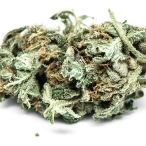 Blue Hawaiian (AA)