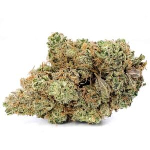 Casey Jones