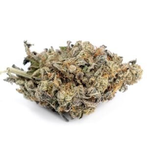 G13 Haze (AAAAA)