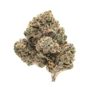Grapefruit Durban