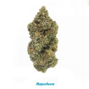 NAPOLEON