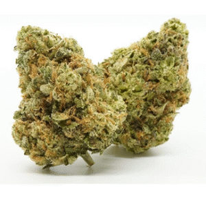 Stardawg Strain