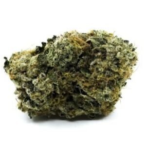 Trump OG